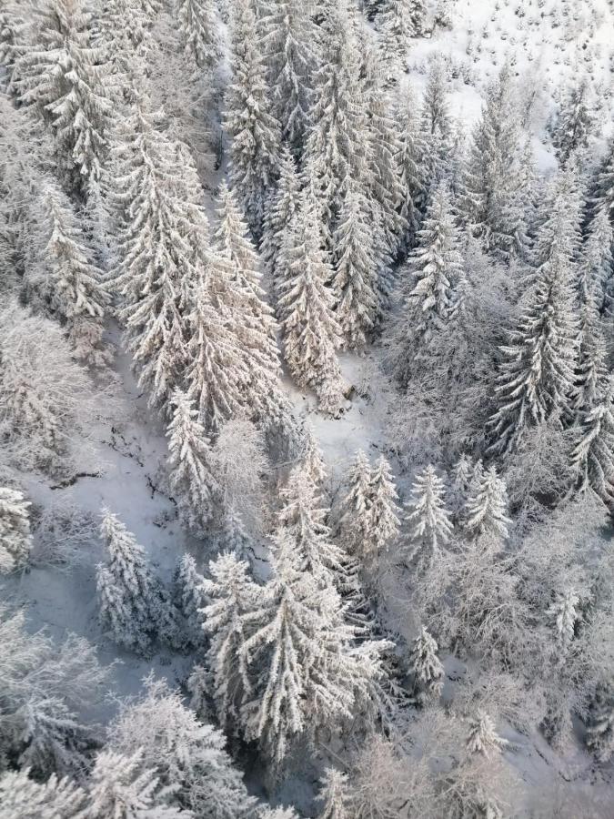 Appartamento Montepart Zillertal Hainzenberg Esterno foto